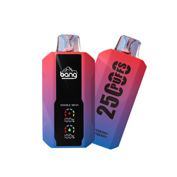 bang 25000-10 bang vape 25000 Puffs 25k E-cigarett-10PCS/1 låda