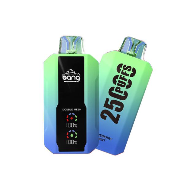 bang 25000-5 bang vape 25000 Puffs 25k E-cigarett-10PCS/1 låda