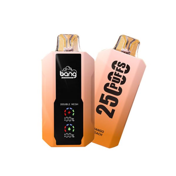 bang 25000-8 bang vape 25000 Puffs 25k E-cigarett-10PCS/1 låda