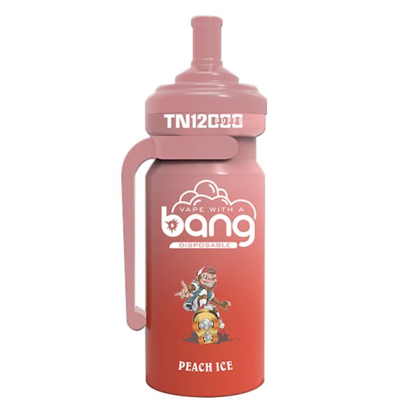 bang NT 12000-10 Vape Bang NT 12000 puff 12K E-cigarett-10PCS/1 låda