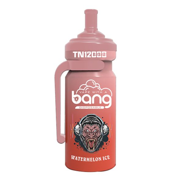 bang NT 12000-7 Vape Bang NT 12000 puff 12K E-cigarett-10PCS/1 låda
