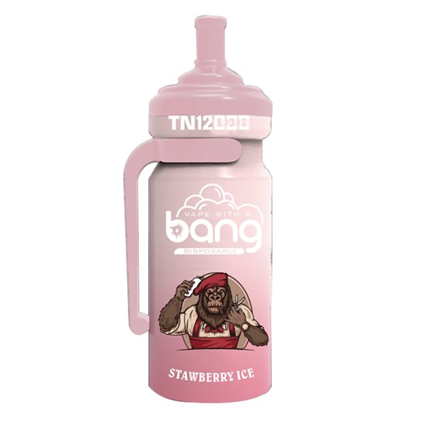 bang NT 12000-9 Vape Bang NT 12000 puff 12K E-cigarett-10PCS/1 låda