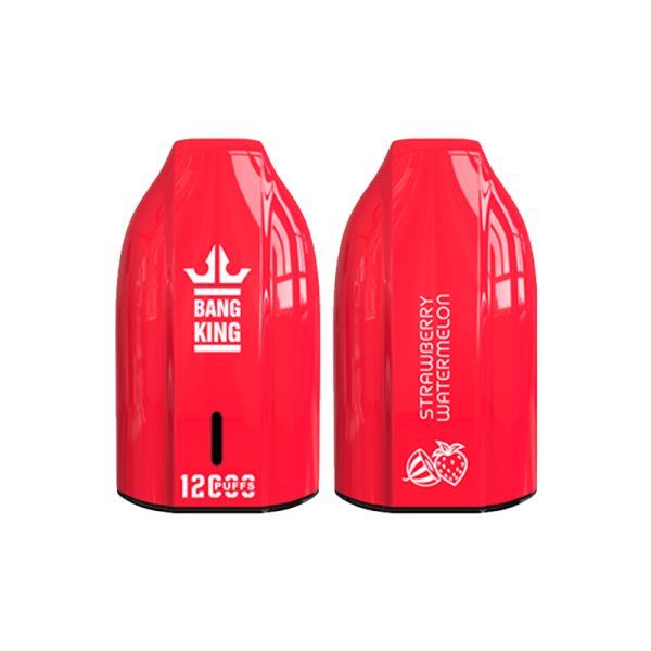 bang king 12000 puff Bang King 12000 | Utforska Bang King Vape 12000