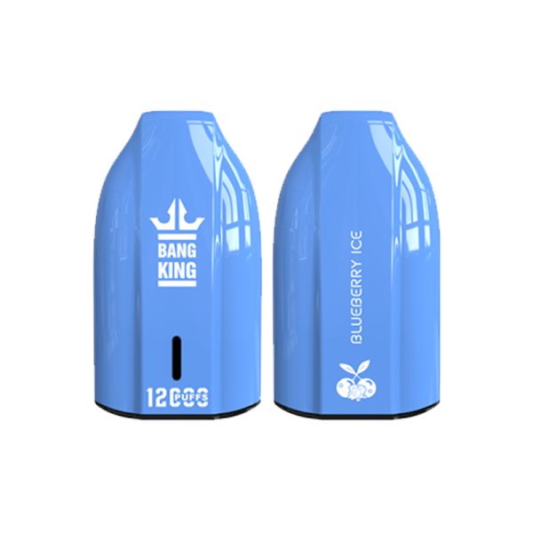 bang king 12000 puff Bang King 12000 | Utforska Bang King Vape 12000