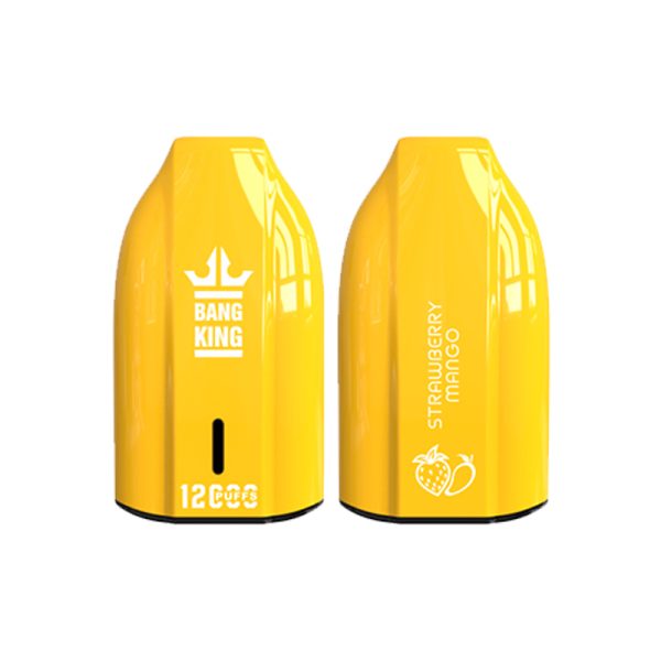 bang king 12000 puff Bang King 12000 | Utforska Bang King Vape 12000