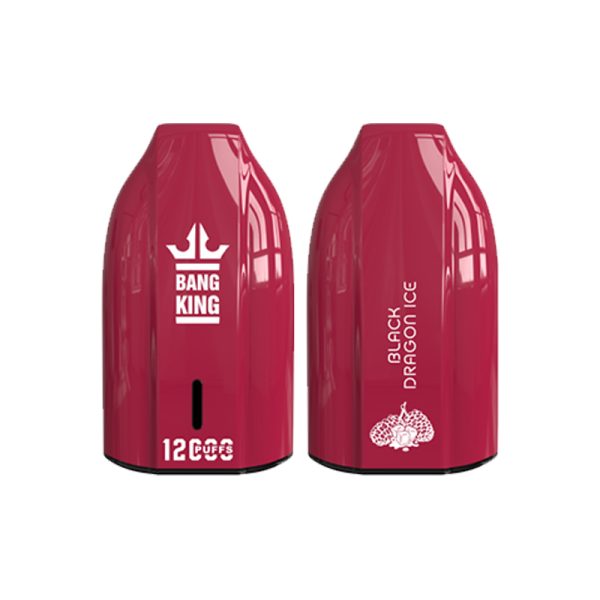 bang king 12000 puff Bang King 12000 | Utforska Bang King Vape 12000