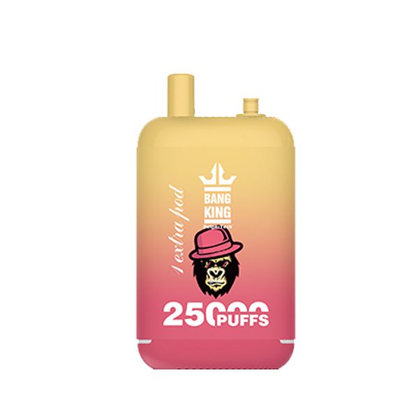bang king extra pod 25000-10 Bang king 25000 Puffs 25K E-cigarett-10PCS/1 låda