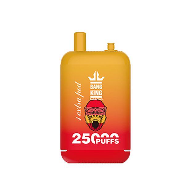 bang king extra pod 25000-9 Bang king 25000 Puffs 25K E-cigarett-10PCS/1 låda
